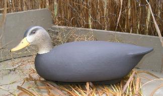 Cork Black Duck Decoy